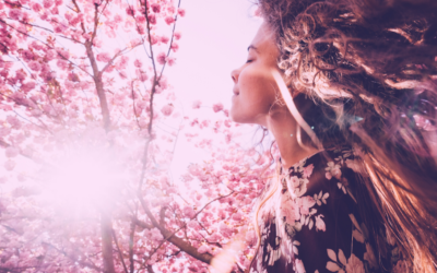 Le printemps et sa folie créative